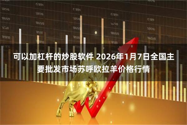 可以加杠杆的炒股软件 2026年1月7日全国主要批发市场苏呼欧拉羊价格行情