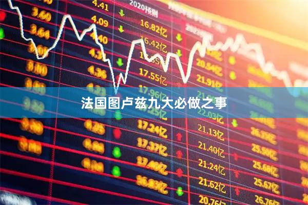 法国图卢兹九大必做之事