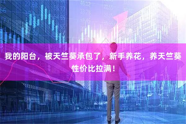 我的阳台，被天竺葵承包了，新手养花，养天竺葵性价比拉满！